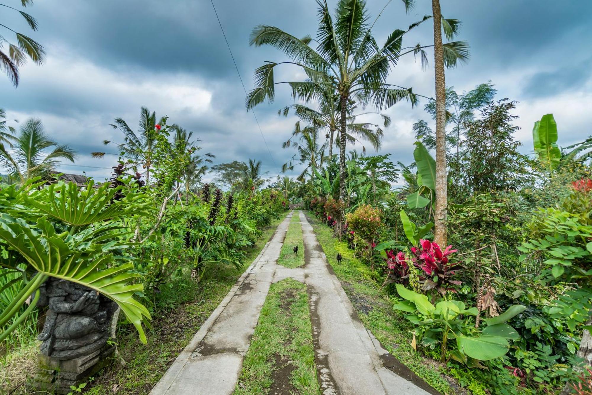 Ritual Ubud Payangan Exteriér fotografie